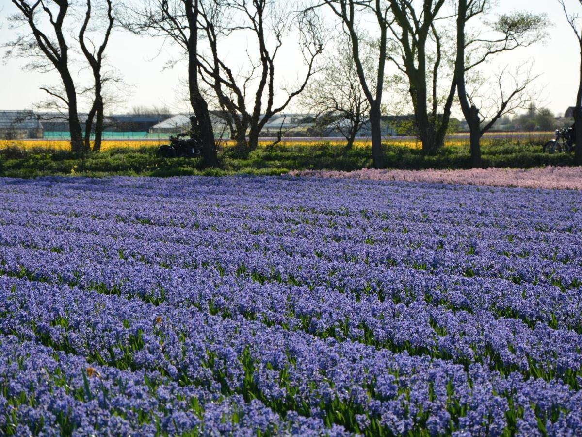 Cosy Holiday Home In Noordwijkerhout Near Lake 外观 照片